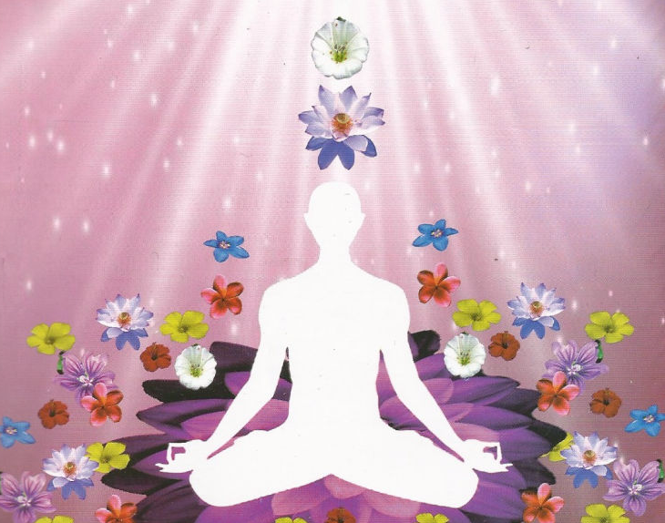ध्यान की पुष्पाञ्जलि